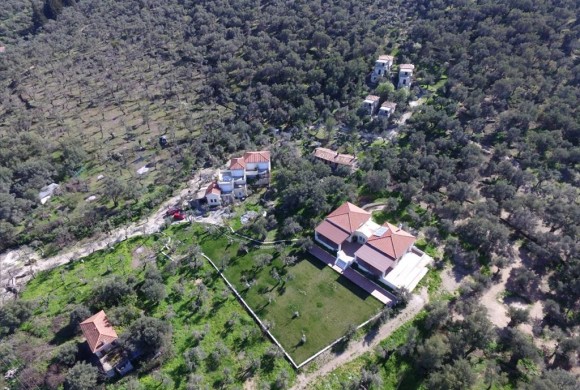 Shop / Business for sale in Lesvos Prefecture