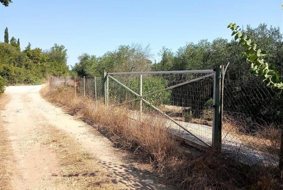 Land for sale in Corfu Prefecture