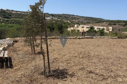 Land for sale in 