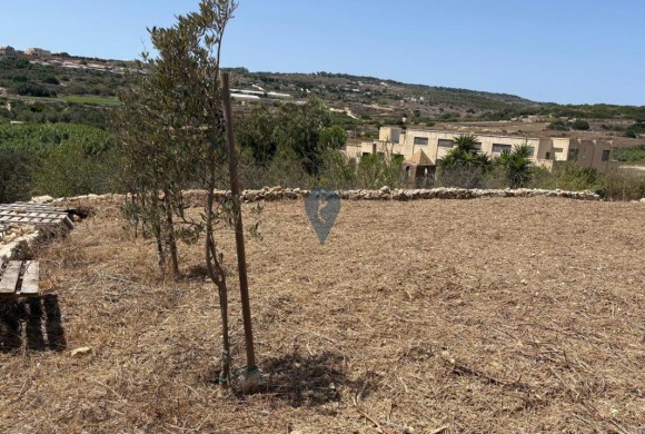 Land for sale in Bidnija
