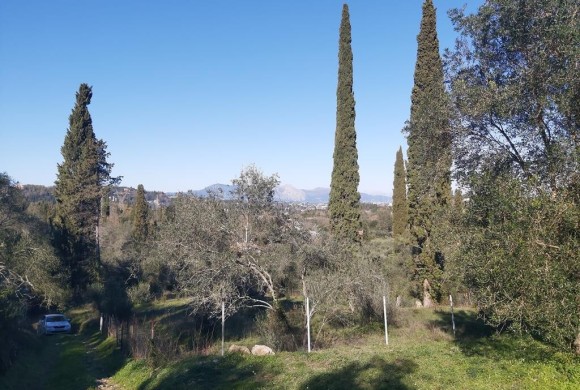 Land for sale in Corfu Prefecture