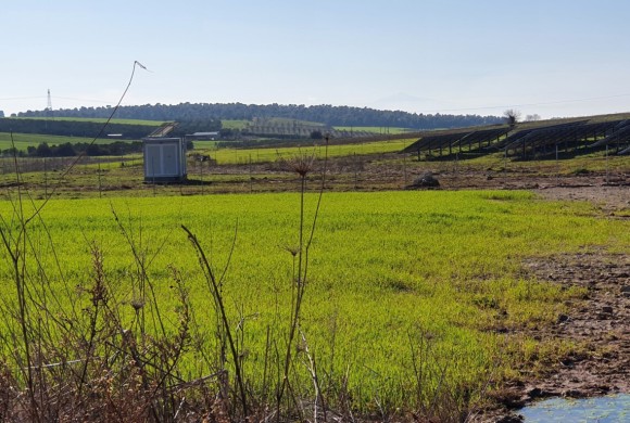 Land for sale in Chalkidiki