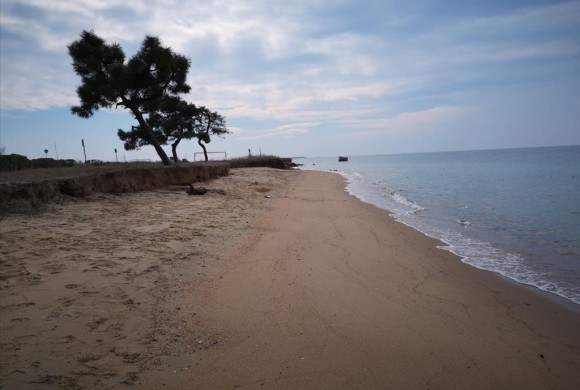 Land for sale in Chalkidiki