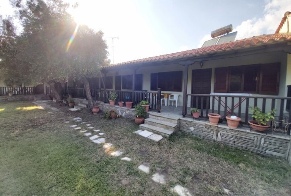 Shop / Business for sale in Chalkidiki
