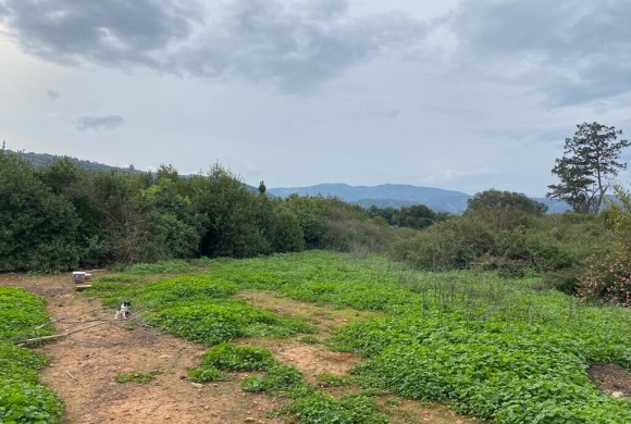 Land for sale in Chania Prefecture