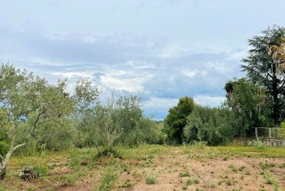 Land for sale in Corfu Prefecture