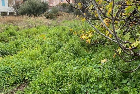 Land for sale in Chania Prefecture