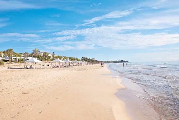 Land for sale in Ilia
