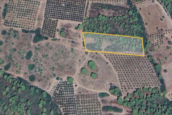 Land for sale in Chalkidiki