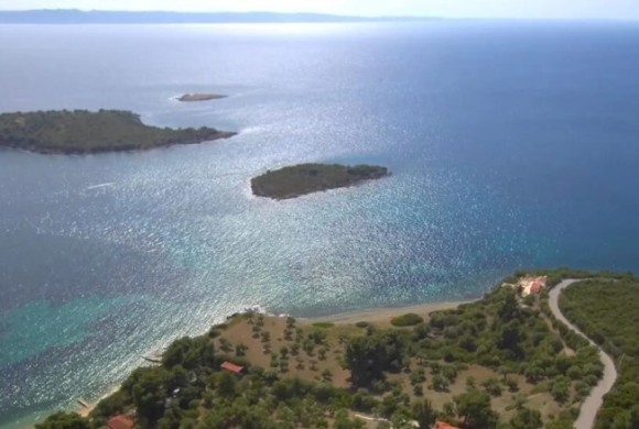 Land for sale in Chalkidiki