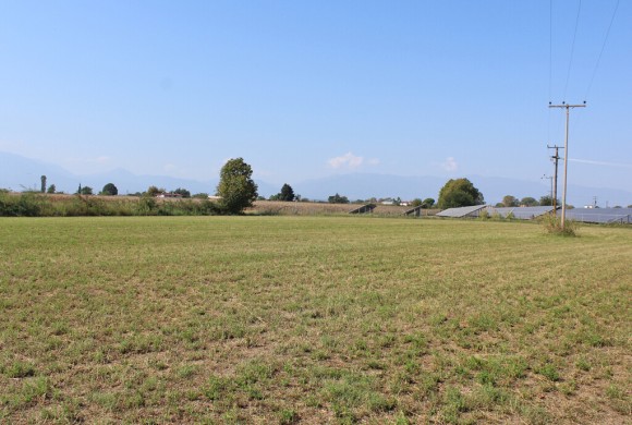Land for sale in Pieria Prefecture