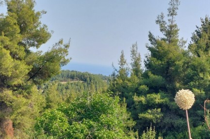 Land for sale in