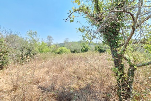 Land for sale in Corfu Prefecture