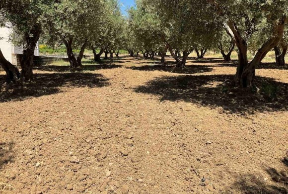 Land for sale in Heraklion Prefecture