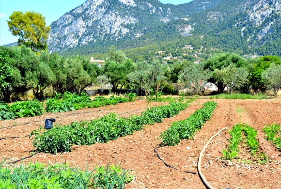Land for sale in Corinthia