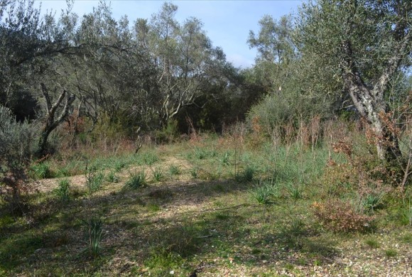 Land for sale in Corfu Prefecture