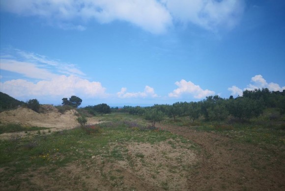 Land for sale in Chalkidiki