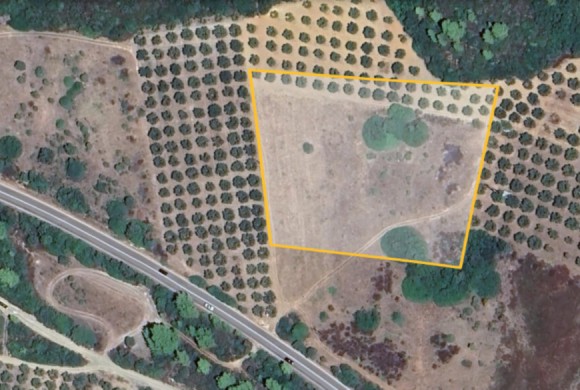 Land for sale in Chalkidiki