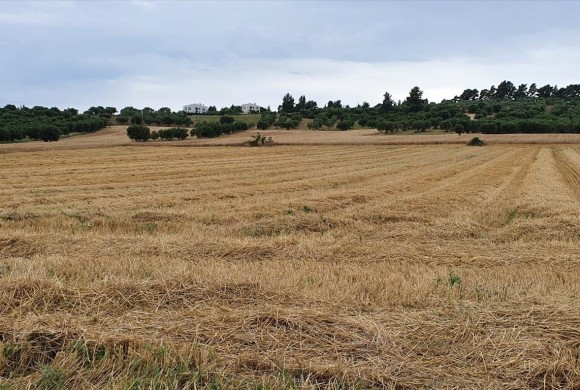 Land for sale in Chalkidiki