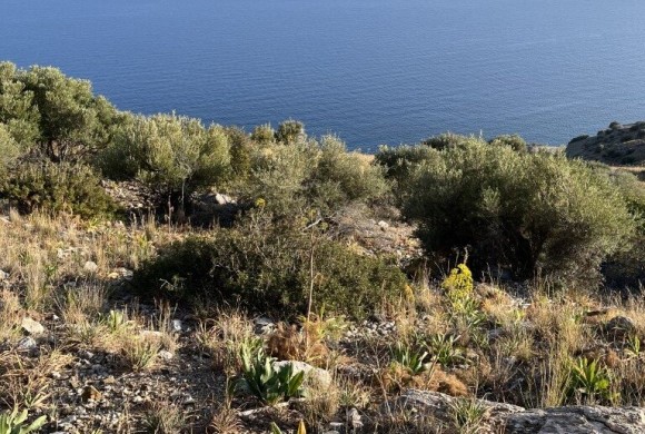 Land for sale in Rethymno Prefecture