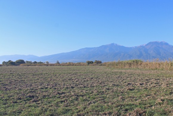 Land for sale in Pieria Prefecture