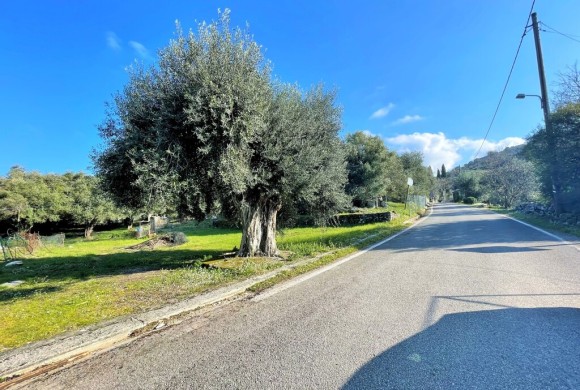 Land for sale in Corfu Prefecture