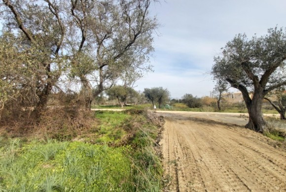 Land for sale in Corfu Prefecture