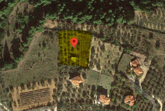 Land for sale in Chalkidiki