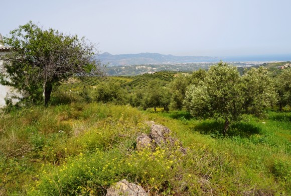 Land for sale in Heraklion Prefecture
