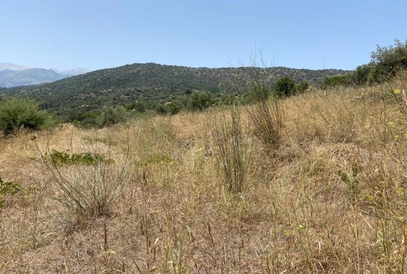 Land for sale in Chania Prefecture
