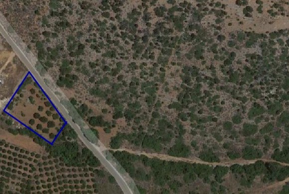 Land for sale in Lasithi Prefecture