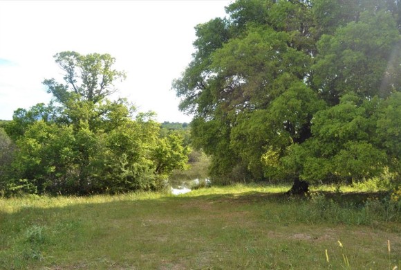 Land for sale in Corfu Prefecture