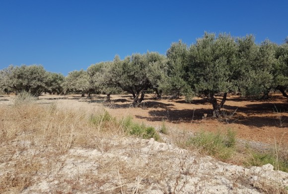 Land for sale in Heraklion Prefecture
