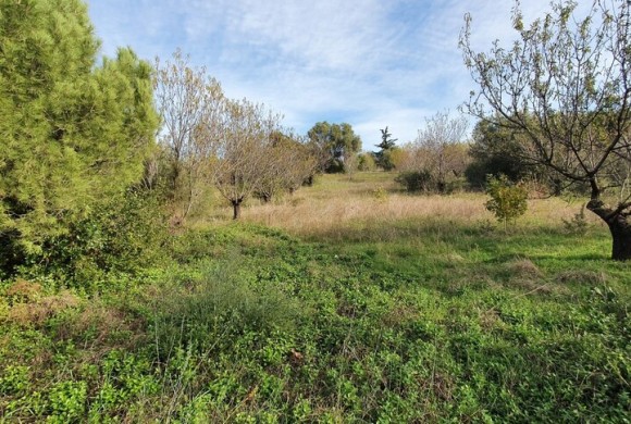 Land for sale in Chalkidiki