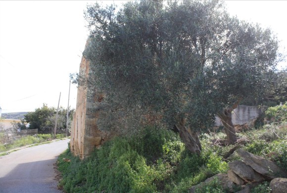 Land for sale in Chania Prefecture