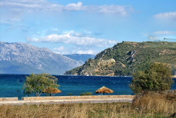 Land for sale in Phthiotis
