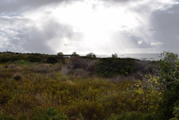 Land for sale in Chania Prefecture