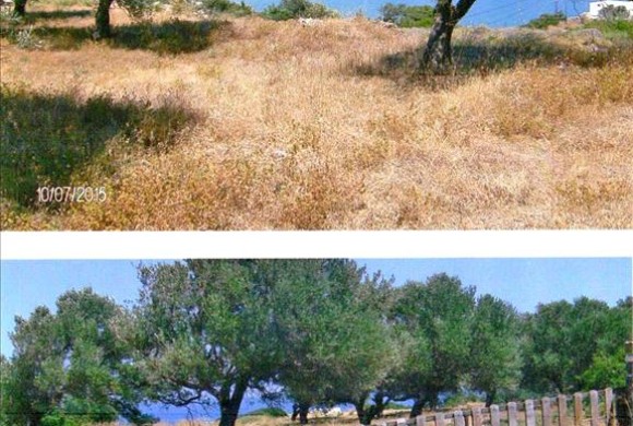 Land for sale in Cyclades
