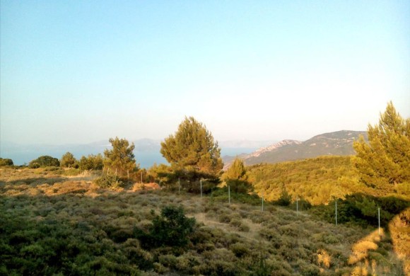 Land for sale in Rest of Attica