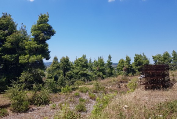 Land for sale in Chalkidiki