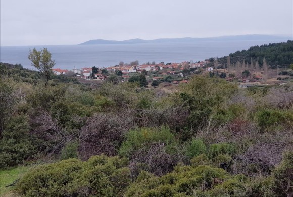 Land for sale in Chalkidiki