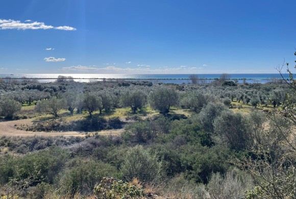 Land for sale in Corfu Prefecture