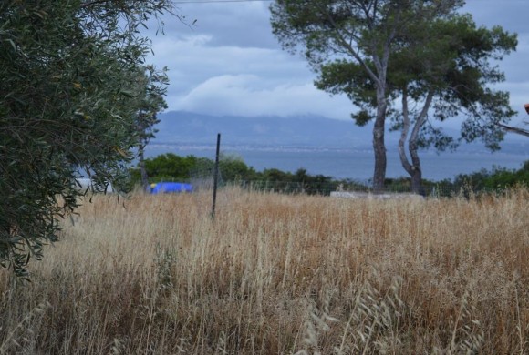 Land for sale in Corinthia