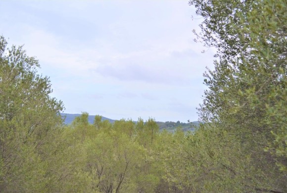 Land for sale in Corfu Prefecture
