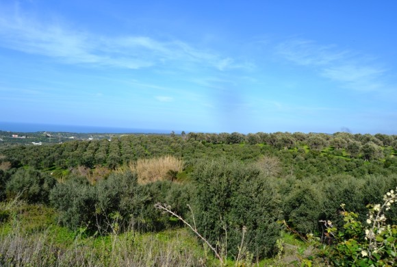 Land for sale in Rethymno Prefecture