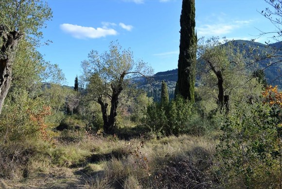 Land for sale in Corfu Prefecture