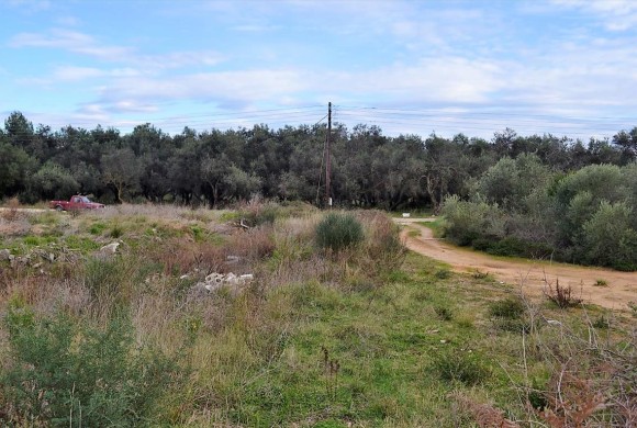 Land for sale in Corfu Prefecture
