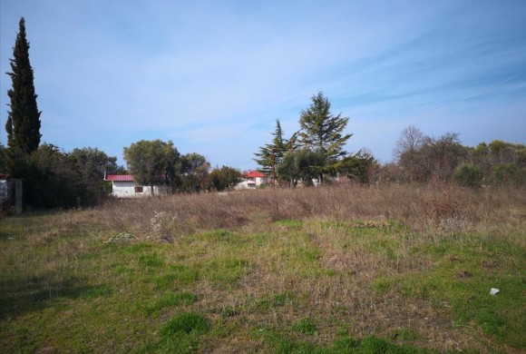 Land for sale in Pieria Prefecture