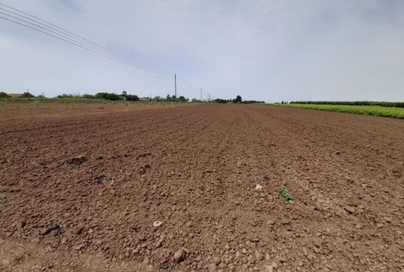 Land for sale in Chalkidiki