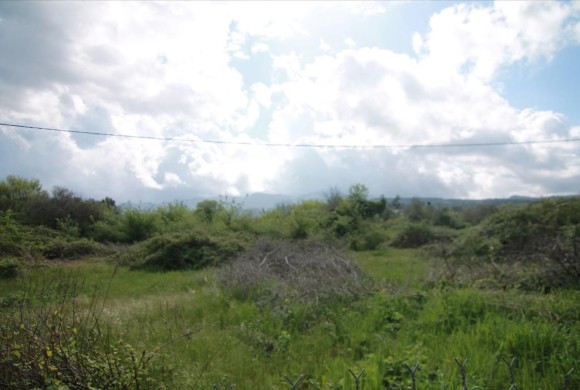 Land for sale in Corfu Prefecture